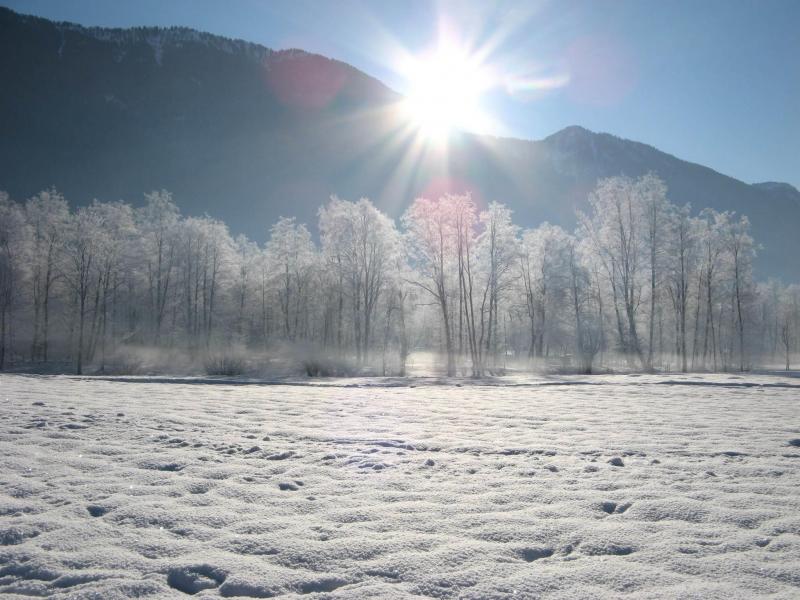 16a79693-2a59-440d-9532-ce02d3ad684f,416620.jpg?WebbinsCacheCounter=2